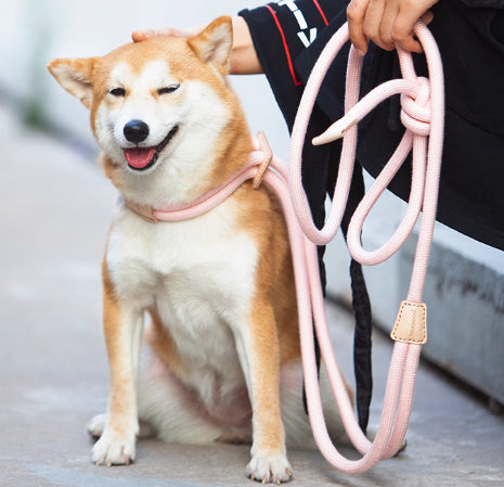 Pet Chest Harness Anti-Burst Leash