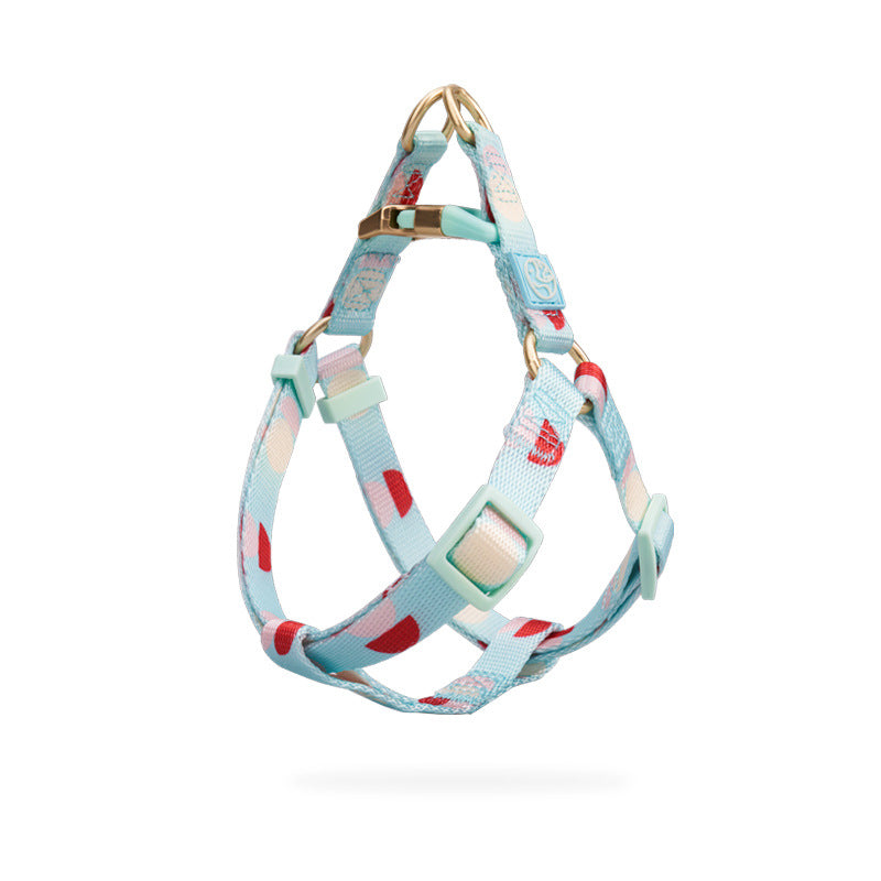 Y-shaped Chest Strap Pet Dog Leash