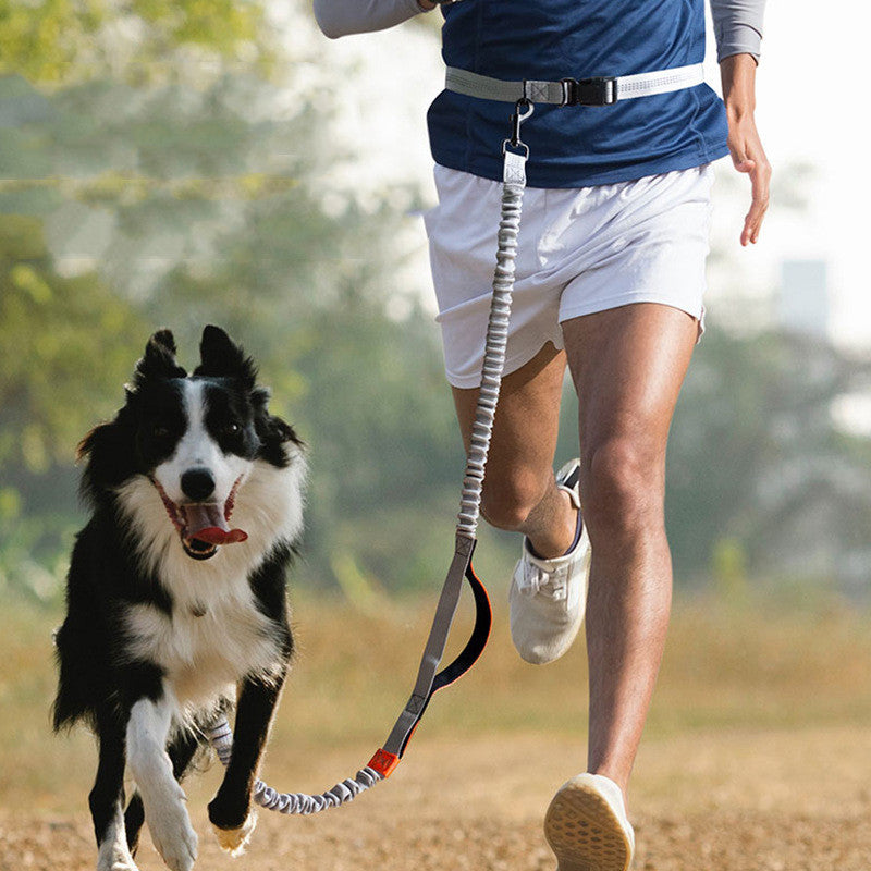 Pet Outdoor Running Dog Leash
